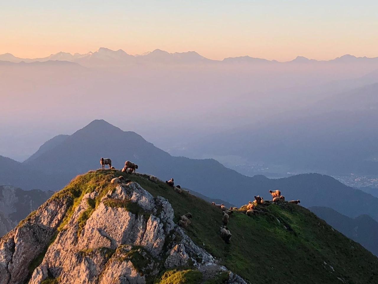 Hotel Menthof Seefeld in Tirol Kültér fotó