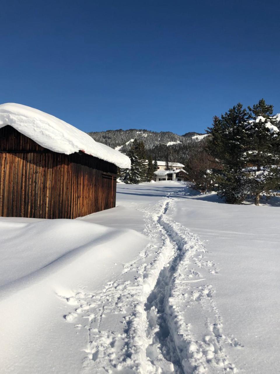 Hotel Menthof Seefeld in Tirol Kültér fotó